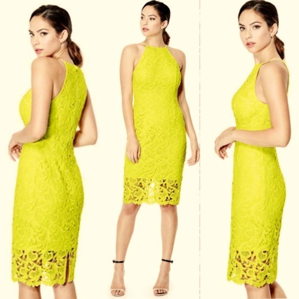 Like New! Zara Dandelion Yellow Lace Halter Dress Lrg